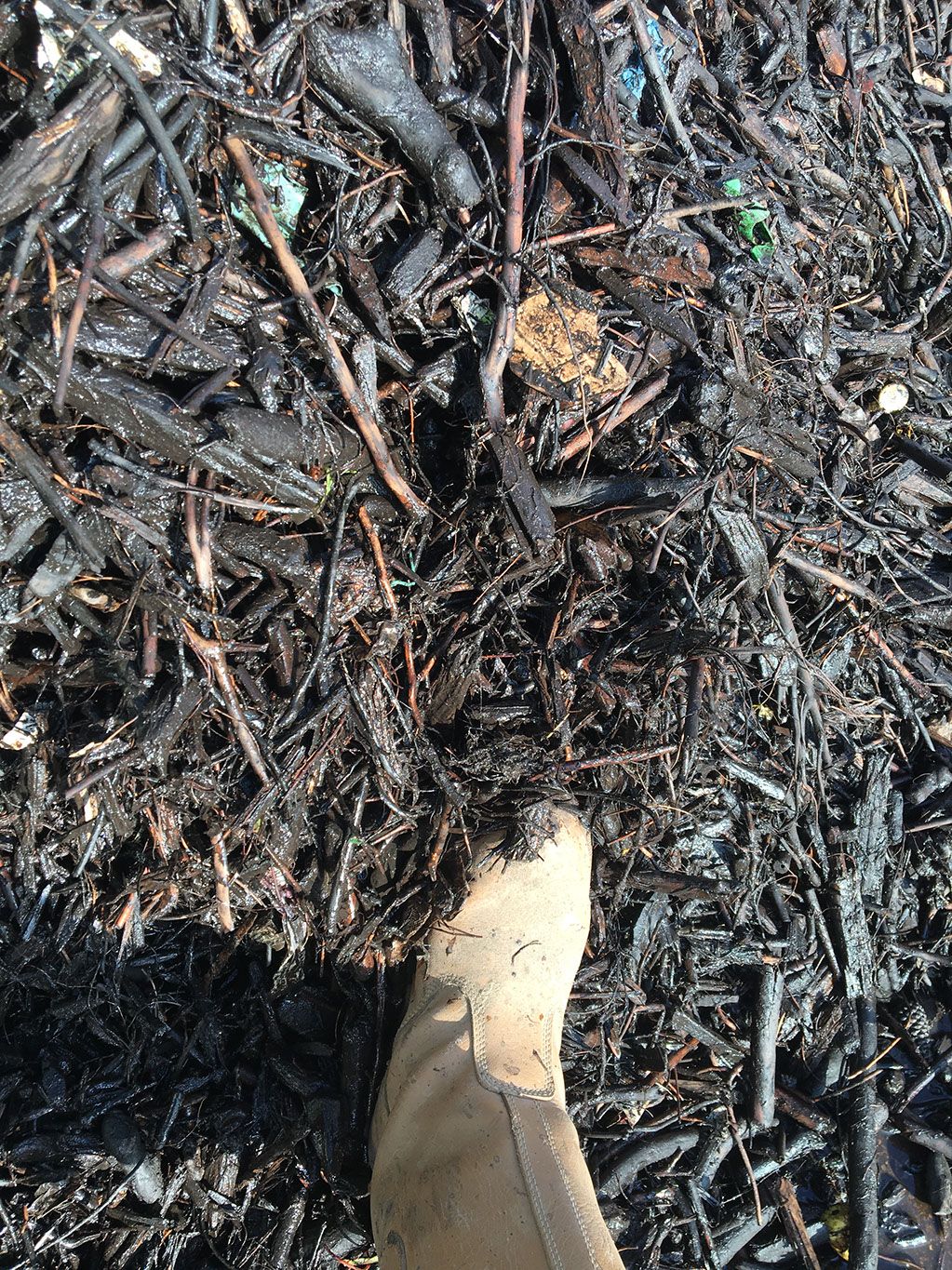 Washed Wood Fraction